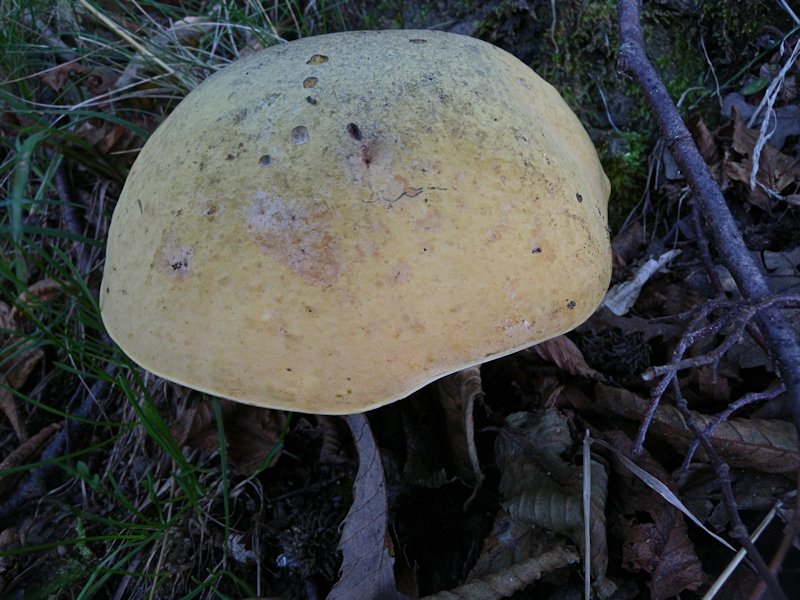 Forse l''ultima bellissima giornata..!!